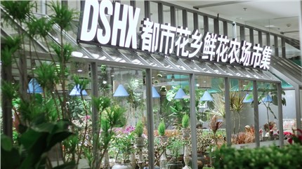 【都市花鄉(xiāng)】植耕長(zhǎng)沙22年，讓人們的生活更加美好